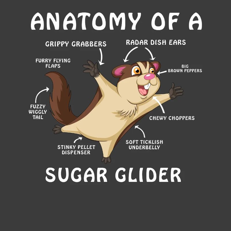 Sugar Glider Anatomie-Shirt