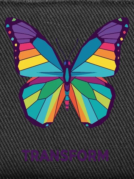 Rainbow Geometric Butterfly