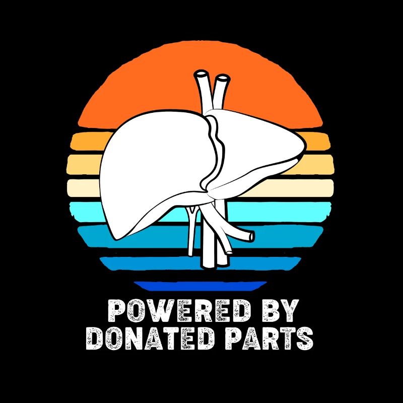 Organ Spender Leber Organspender Leberspende