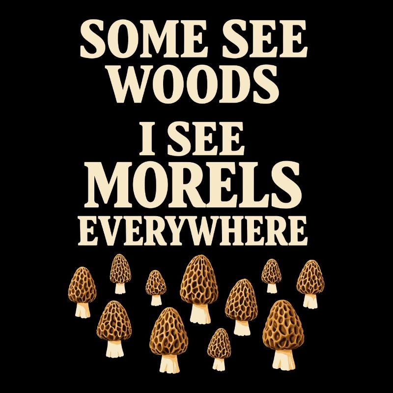 Chasseurs de morilles, champignons morilles sauvages sur