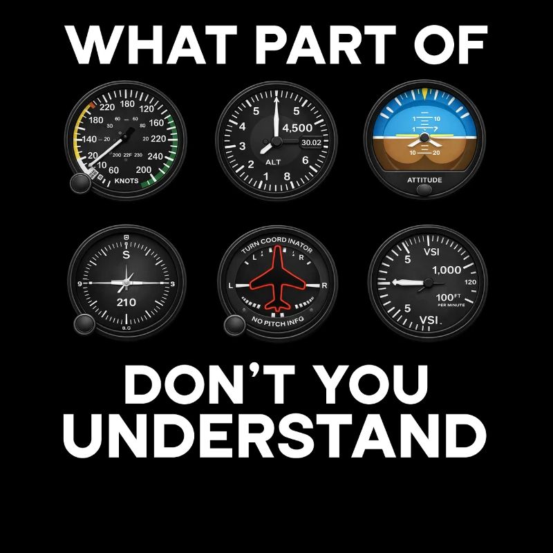 Flugzeug Flug Pilot Flugzeug Fluggesellschaft