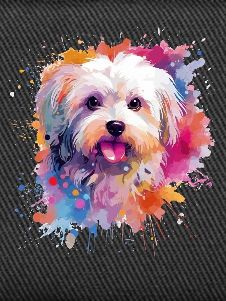 Bunte Malteserhunde-Splash-Art