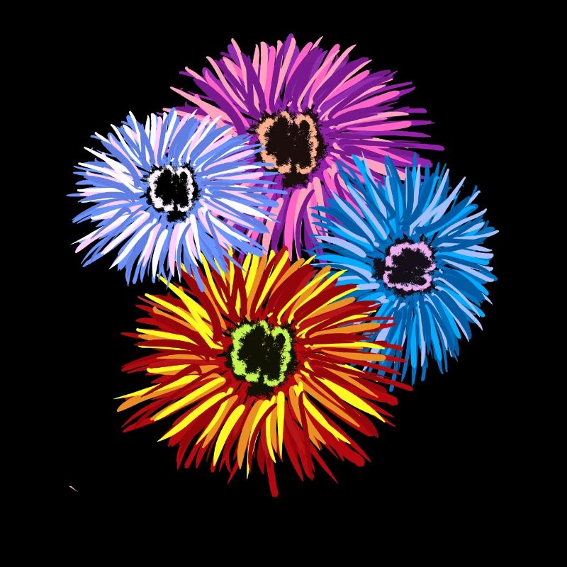 Fleurs Colorées Fleurs Jardin de Fleurs Florales