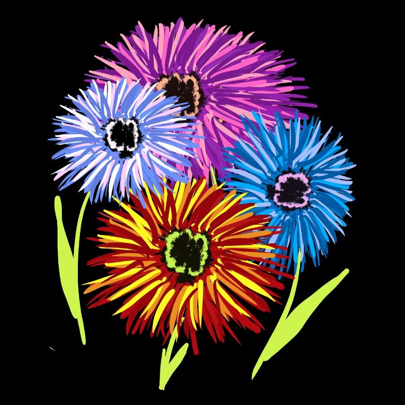 Fleurs Jardin d’été Fleurs Fleurs Flore