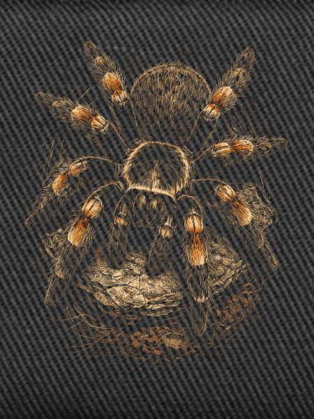 Tarantula
