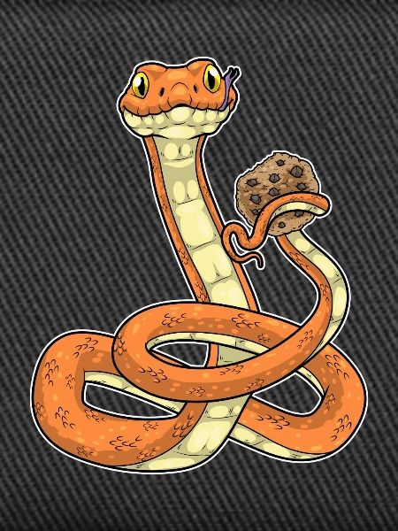 Snake Cookie