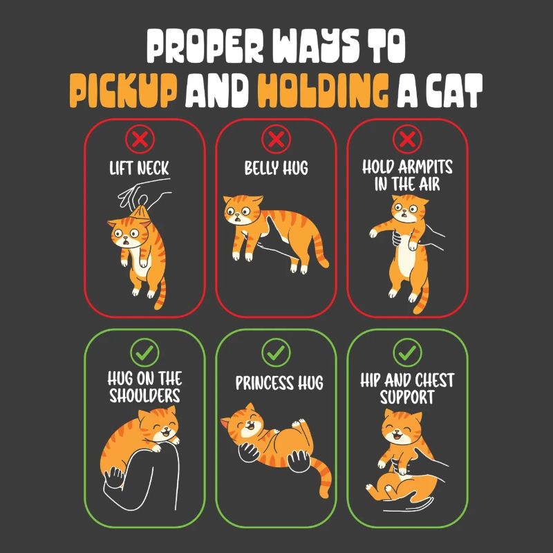 Funny Cat Owner Proper Ways To Hold Kitten