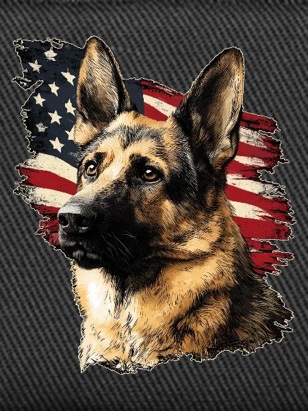 German Shepherd USA