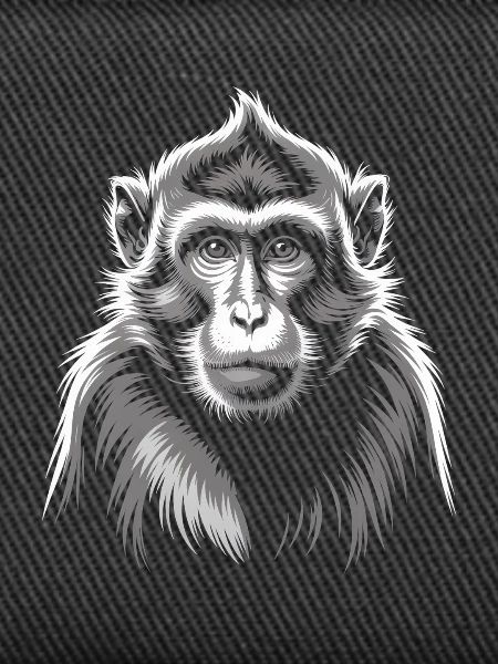 Singe Gris