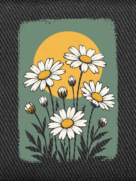 Gänseblümchen im Sonnenkreis