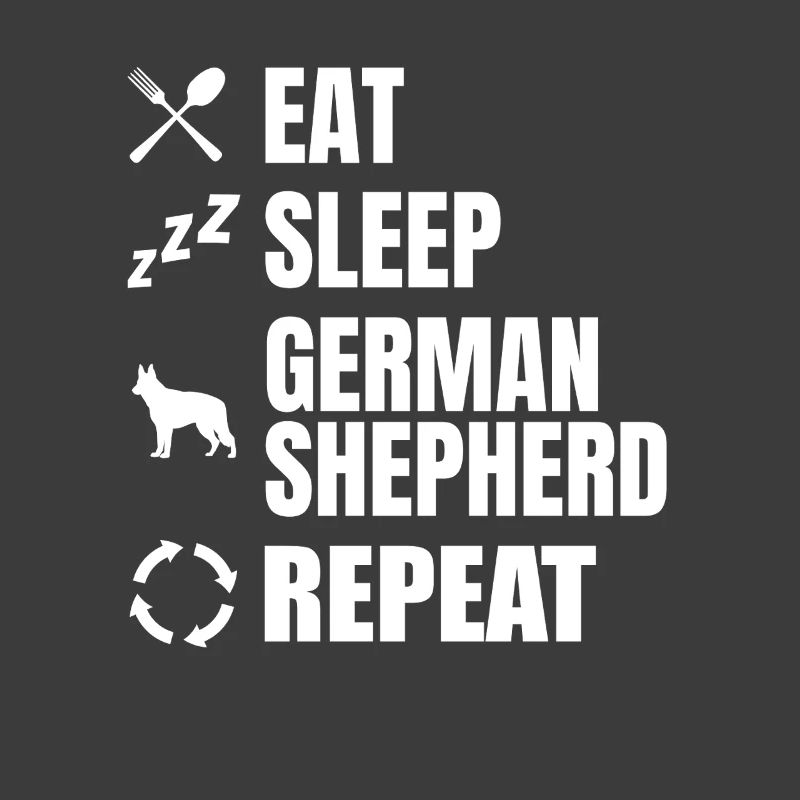 Manger Dormir Chien Berger Répéter