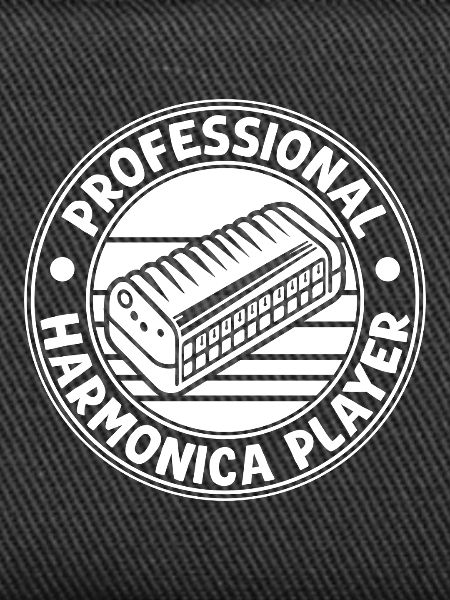Harmonica Musican Professional Harmonica