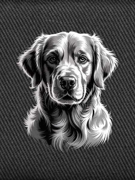 Labrador