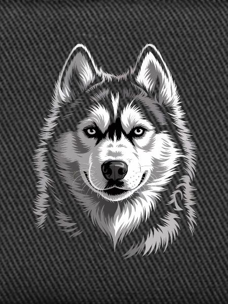 Husky