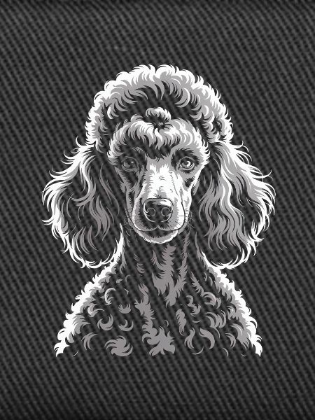Caniche