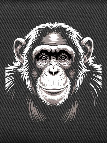 Chimpanzé singe