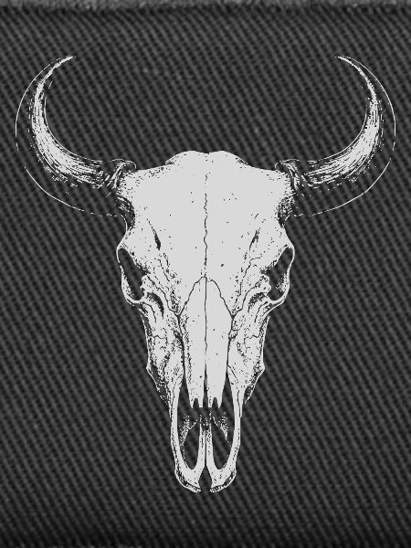 Bull Skull Horns