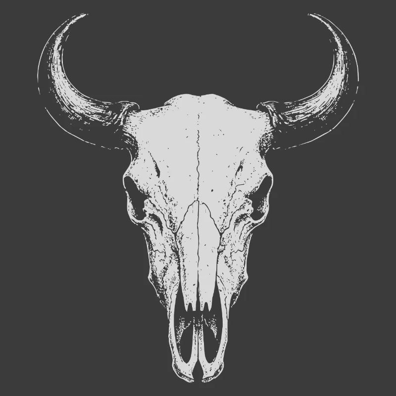 Bull Skull Horns