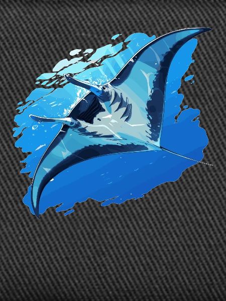 Rays Manta Rays