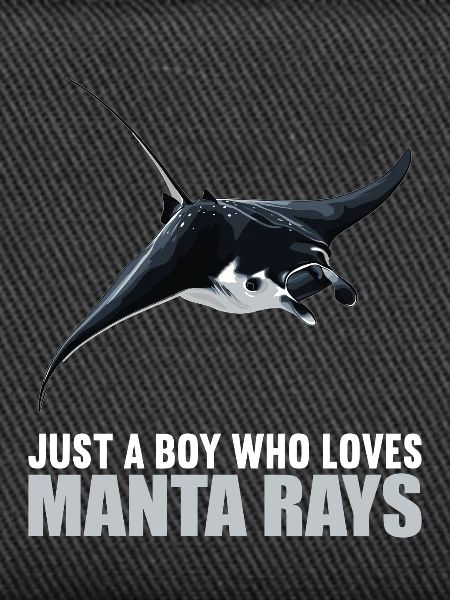 Rochen Mantarochen