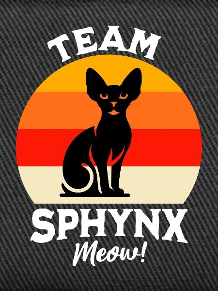 Team Sphynx Cat