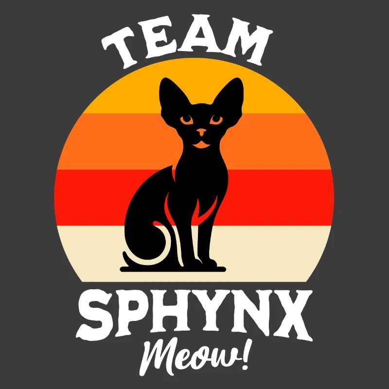 Équipe Sphynx Cat
