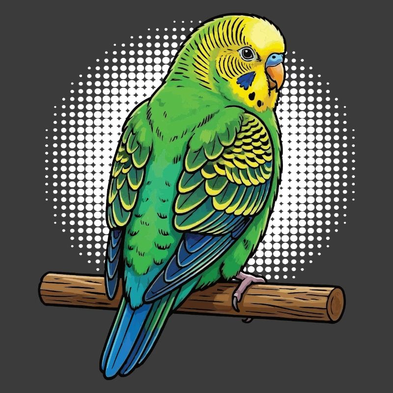 Budgerigars Budgie Owners Budgies