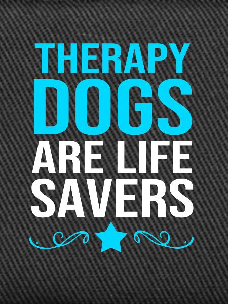 Therapiehund