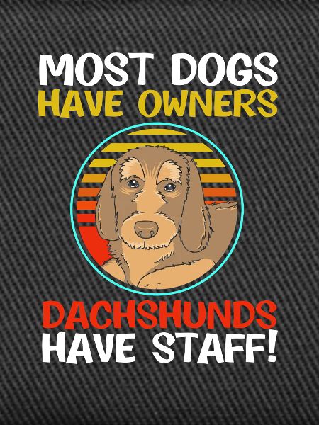 Rauhaardackel Dachshund