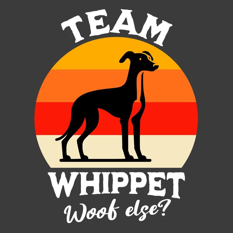 Équipe Greyhound