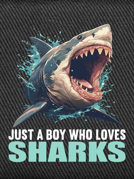 Sharks Shark
