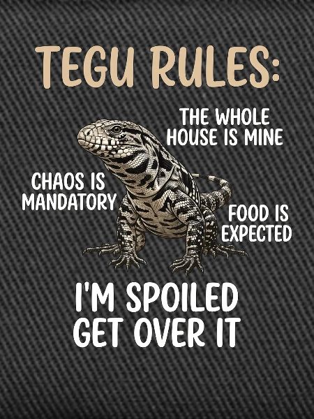 Tegu Rules Pampered Reptile