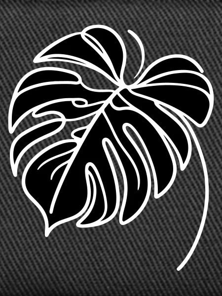 Monstera