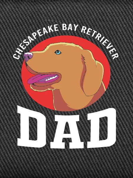 Chesapeake Bay Retriever