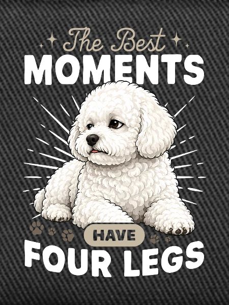 Bichon Frise Dog Breed