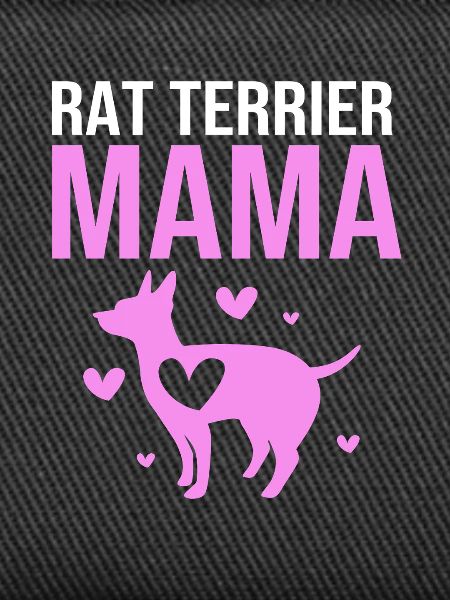 Rat Terrier