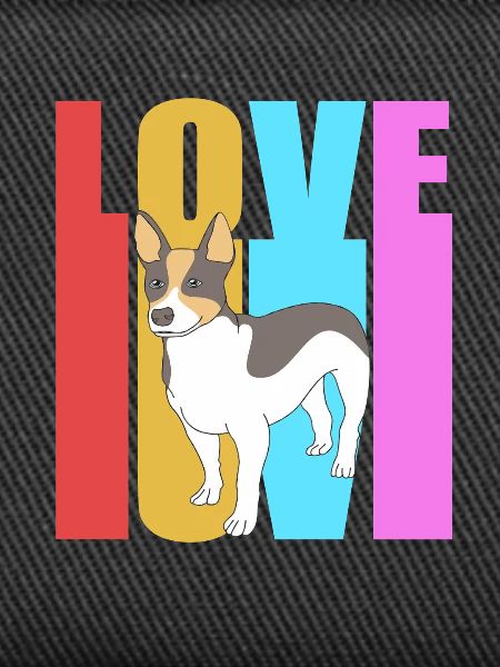 Rat Terrier