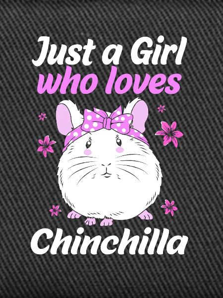 Chinchilla