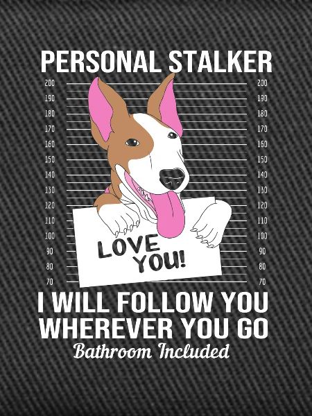 Bullterrier