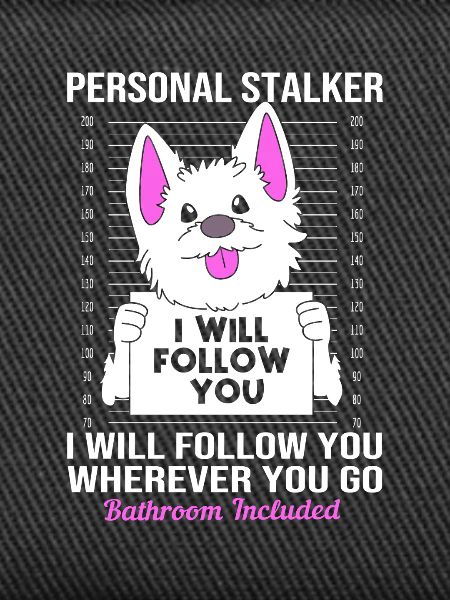 West Highland Terrier