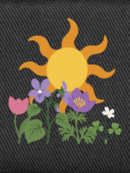 Veilchen · Sonne · Geschenkidee · Blüten