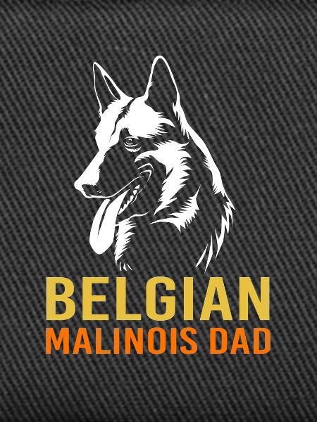 Belgischer Malinois
