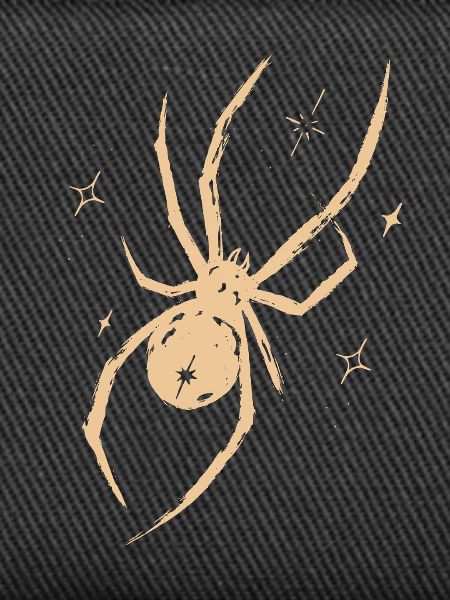 Spinne Celestial Natur