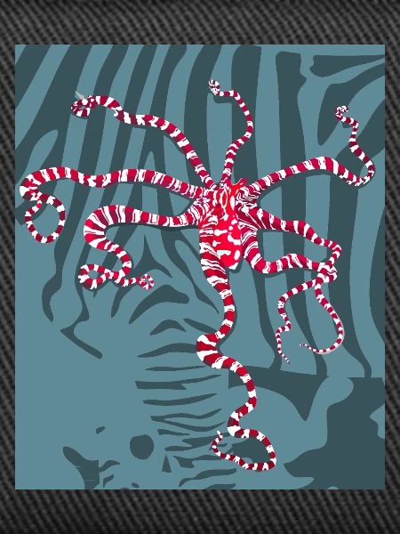 Rot Weißer Oktopus