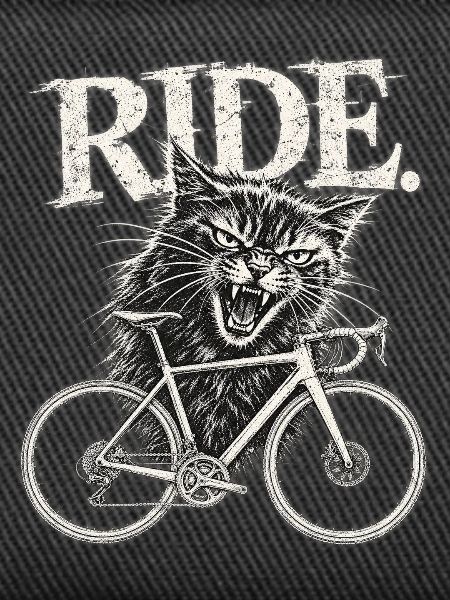 Wütende Katze auf Rennrad 