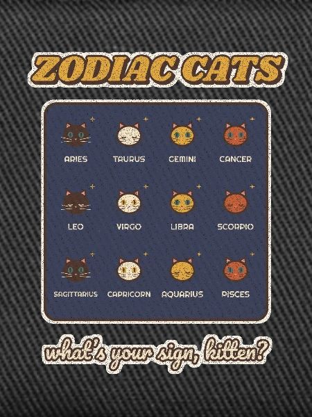Zodiac-Katzen Alle 12-Sterne-Zeichen