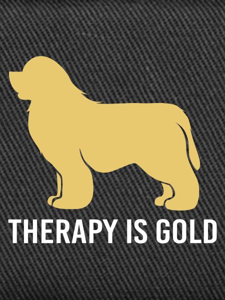 Therapy dog
