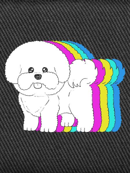 Bichon Frise