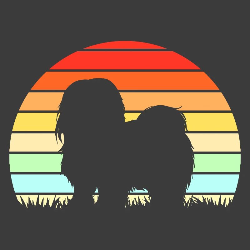 Lhasa Apso Dog