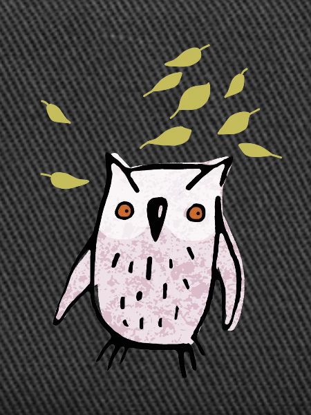 owl